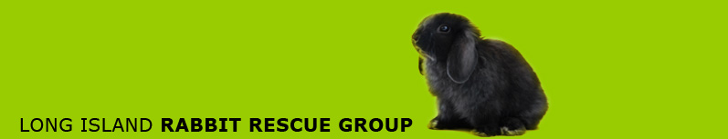 Long Island Rabbit Rescue Group banner