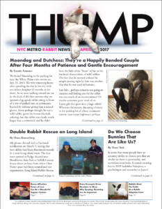 THUMP-NYC Metro Rabbit News April 2017