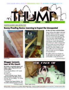 THUMP-NYC Metro Rabbit News April 2010