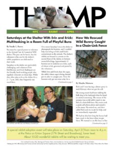 THUMP-NYC Metro Rabbit News April 2013