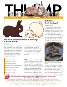 THUMP-NYC Metro Rabbit News April 2014