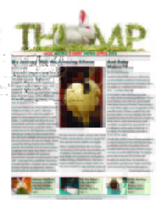 THUMP-NYC Metro Rabbit News April 2015
