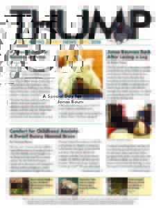 THUMP-NYC Metro Rabbit News April 2018