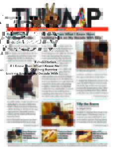 THUMP-NYC Metro Rabbit News August 2012