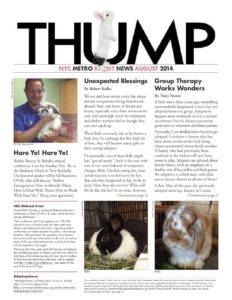THUMP-NYC Metro Rabbit News August 2015