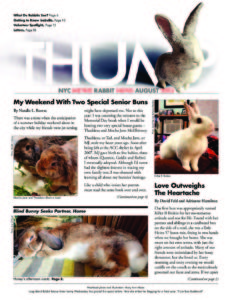 THUMP-NYC Metro Rabbit News August 2015