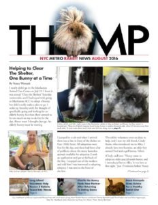 THUMP-NYC Metro Rabbit News August 2016