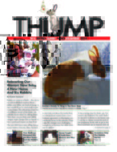 THUMP-NYC Metro Rabbit News December 2010