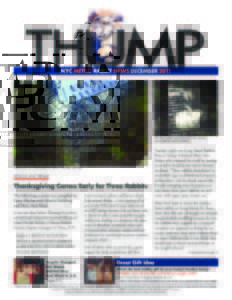 THUMP-NYC Metro Rabbit News December 2011