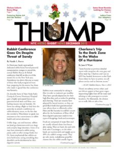 THUMP-NYC Metro Rabbit News December 2012