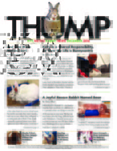 THUMP-NYC Metro Rabbit News December 2016