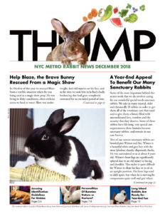 THUMP-NYC Metro Rabbit News December 2018