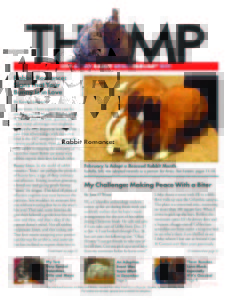 THUMP-NYC Metro Rabbit News February 2012