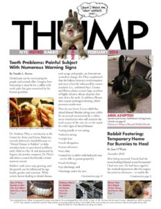 THUMP-NYC Metro Rabbit News February 2014