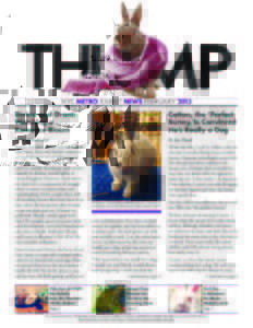 THUMP-NYC Metro Rabbit News February 2015