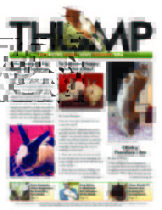 THUMP-NYC Metro Rabbit News February 2016