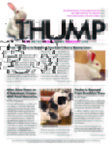 THUMP-NYC Metro Rabbit News February 2018