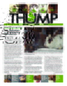 THUMP-NYC Metro Rabbit News June 2010