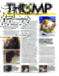 THUMP-NYC Metro Rabbit News June 2011