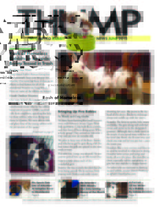THUMP-NYC Metro Rabbit News June 2012