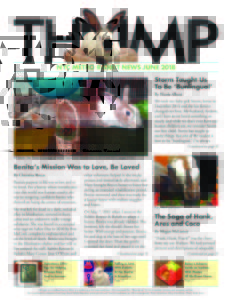 THUMP-NYC Metro Rabbit News June 2018