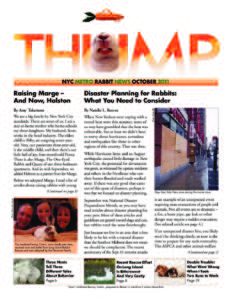 THUMP-NYC Metro Rabbit News October 2011