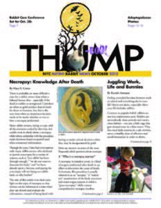 THUMP-NYC Metro Rabbit News October 2012