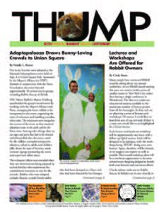 THUMP-NYC Metro Rabbit News October 2013