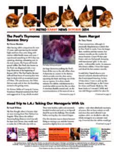 THUMP-NYC Metro Rabbit News October 2014