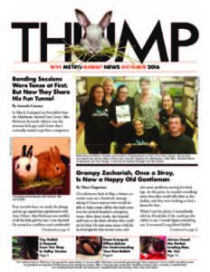 THUMP-NYC Metro Rabbit News October 2016