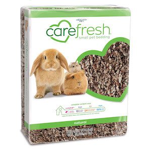Safe litter for your House Rabbit