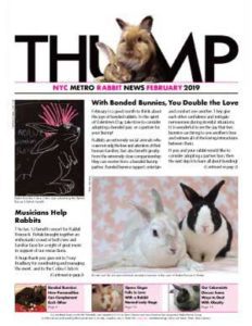 Thump-NYC Metro Rabbit News February 2019