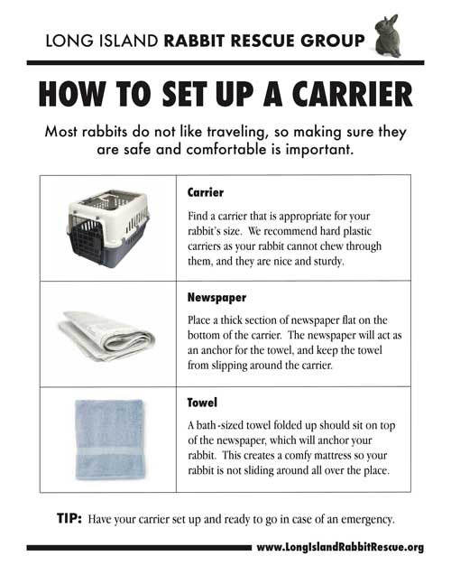 How to set up a carrier
