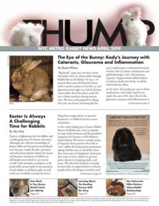 Thump Newsletter