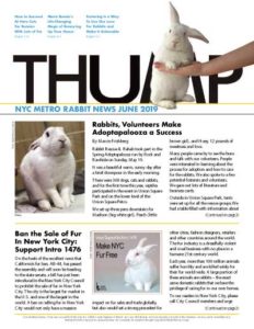 Thump Newsletter June 2019- Long Island Rabbit Rescue Group