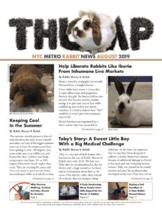 NYC Metro Rabbits News-Thump August 2019