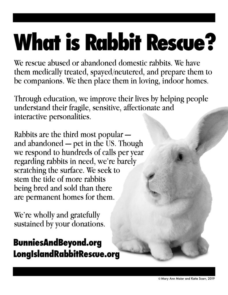 What is Rabbit Rescue? Long Island Rabbit Rescue Group