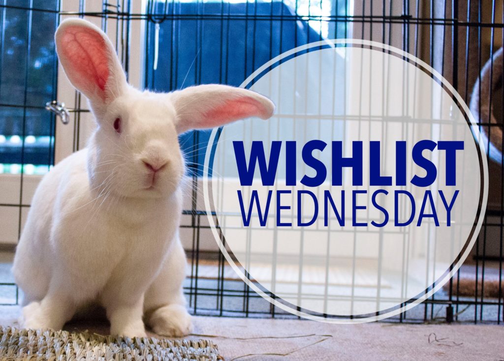 It's Wishlist Wednesday! - Long Island Rabbit Rescue Group