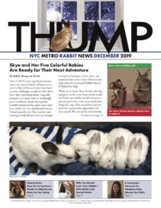 Thump Newsletter-NYC Metro Rabbit-Long Island Rabbit Rescue Group