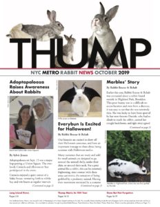 NYC Metro Rabbit News October 2019-Long Island Rabbit Rescue Group