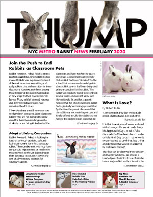Thump Newsletter-NYC Metro Rabbit-Long Island Rabbit Rescue Group-February 2020