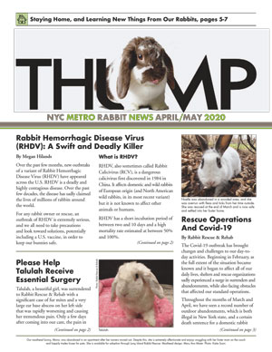 Thump Newsletter-NYC Metro Rabbit-Long Island Rabbit Rescue Group