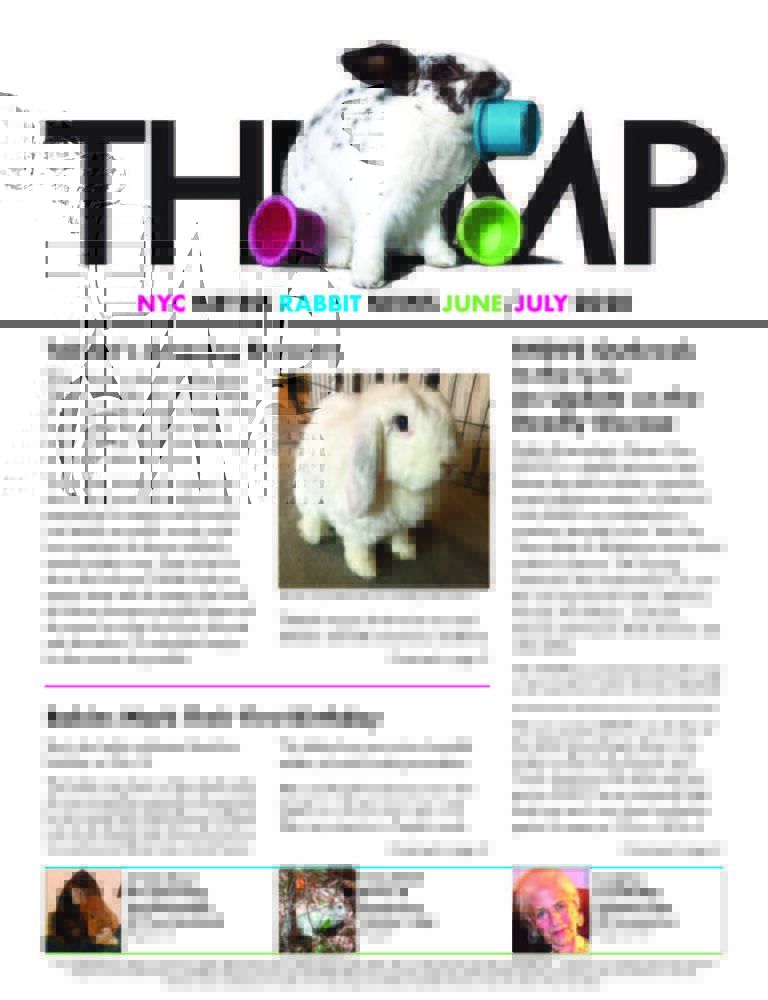 Thump Newsletter-NYC Metro Rabbit-Long Island Rabbit Rescue Group-June/July 2020
