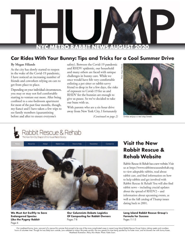 Thump Newsletter-NYC Metro Rabbit-Long Island Rabbit Rescue Group