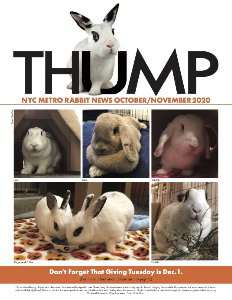 Thump Newsletter-NYC Metro Rabbit-Long Island Rabbit Rescue Group