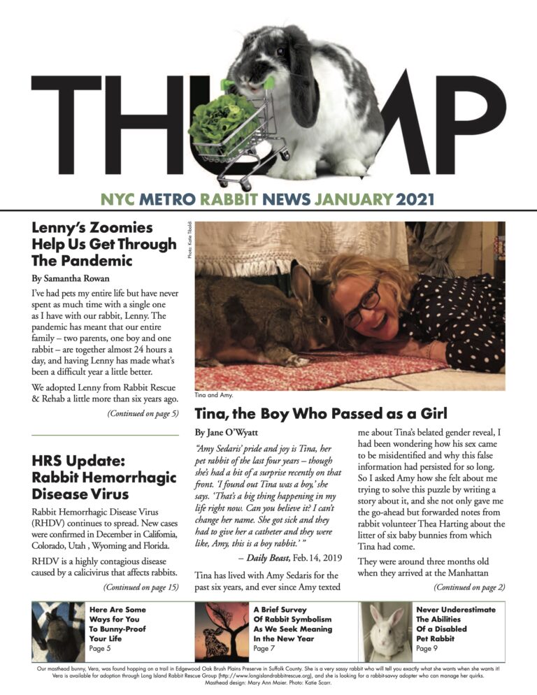 Thump Newsletter-NYC Metro Rabbit-Long Island Rabbit Rescue Group