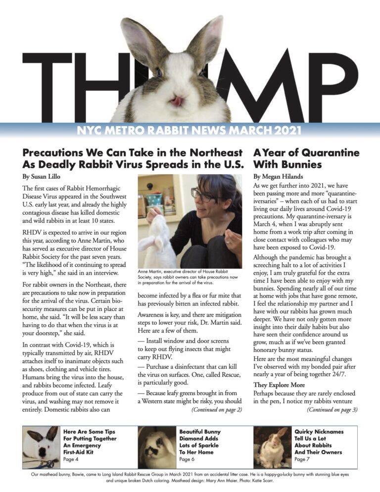 Thump Newsletter-NYC Metro Rabbit-Long Island Rabbit Rescue Group