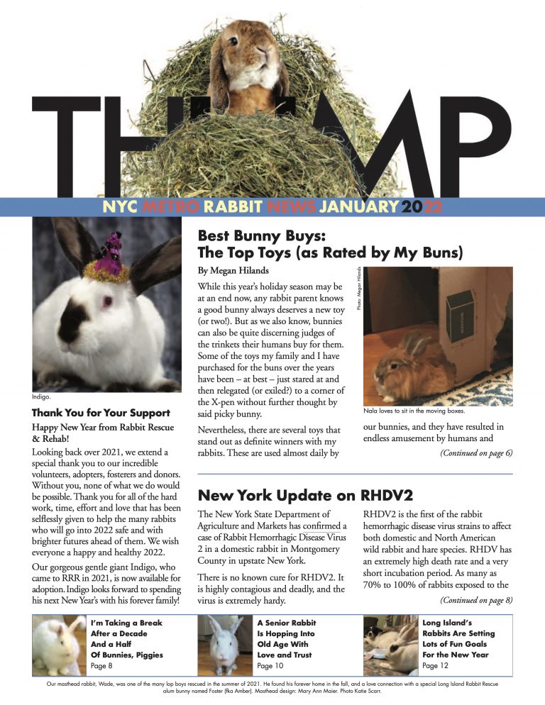 Thump Newsletter-NYC Metro Rabbit-Long Island Rabbit Rescue Group