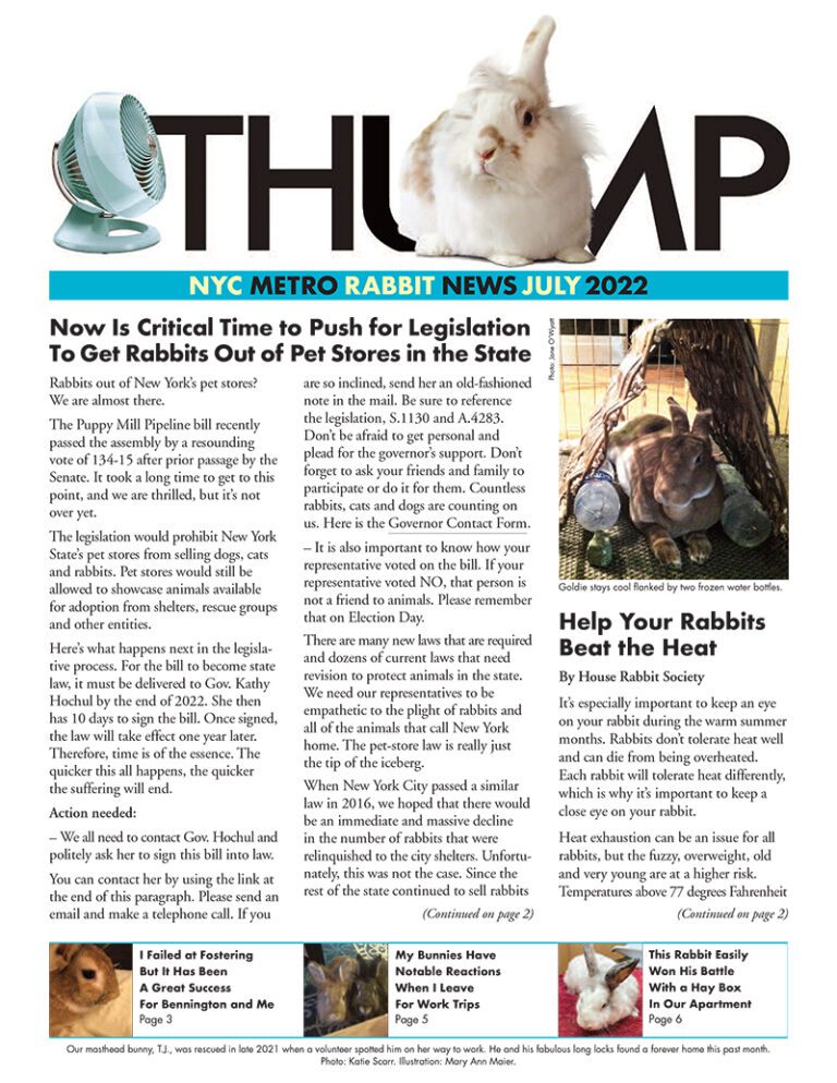 Thump Newsletter July 2022