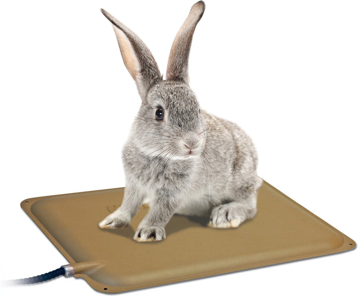 Heating Pads - Long Island Rabbit Rescue Group